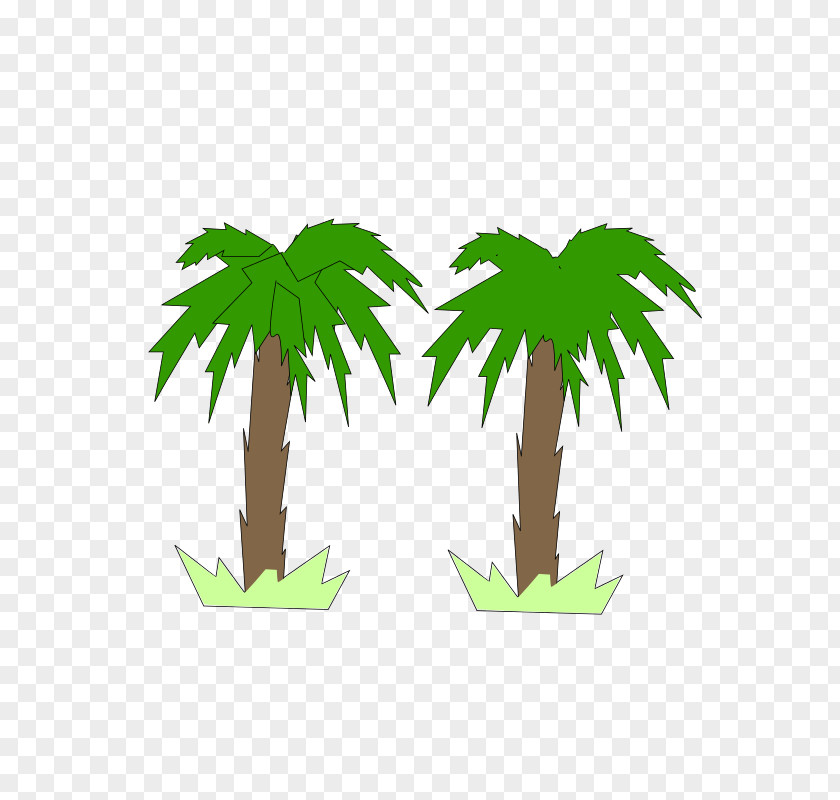 Palm Tree Vector Arecaceae Clip Art PNG