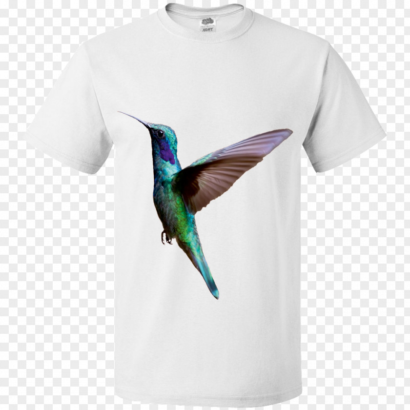 T-shirt Hummingbird M Message PNG