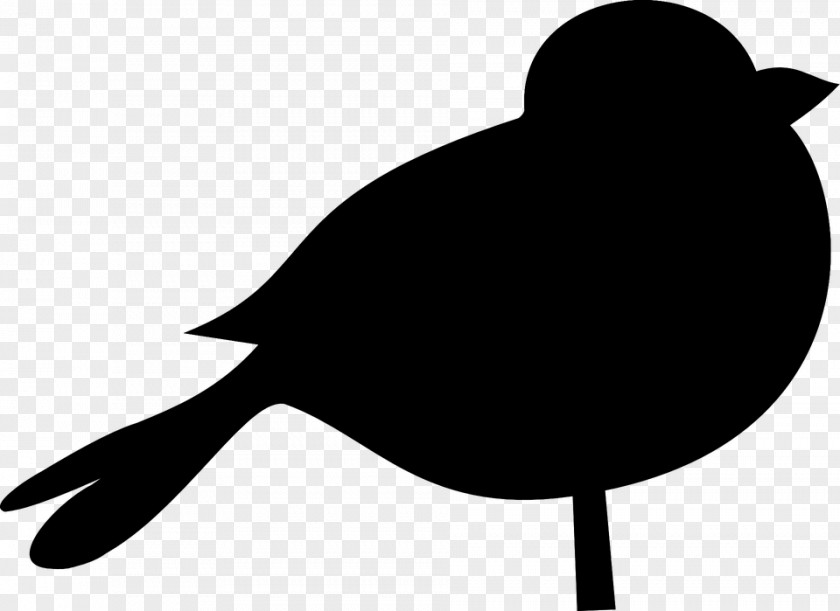 Bird Common Blackbird Clip Art PNG