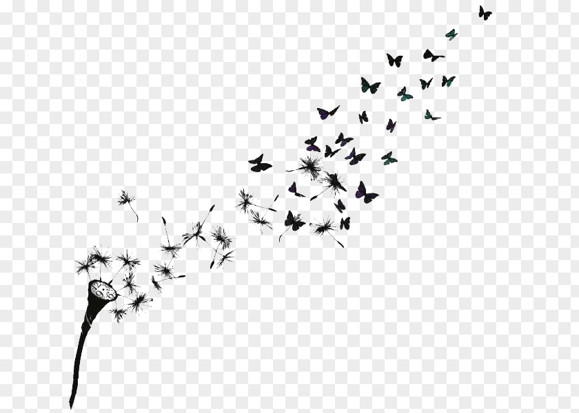 Butterfly Effect Common Dandelion Bird Tattoo PNG