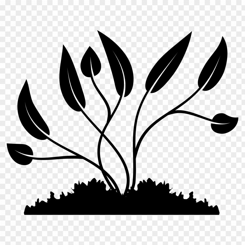 Clip Art Plants Image PNG