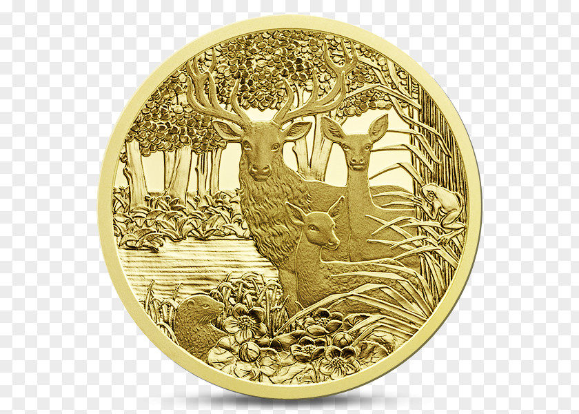 Coin Of The Year Award Euro Coins Gold Numismatics PNG