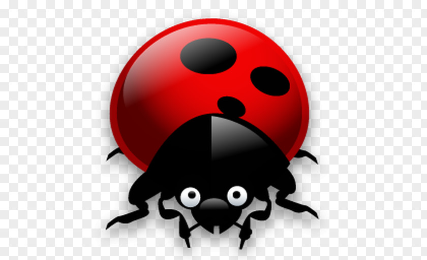 Insect Download PNG