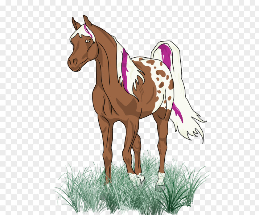 Land Animals Foal Pony Colt Art PNG