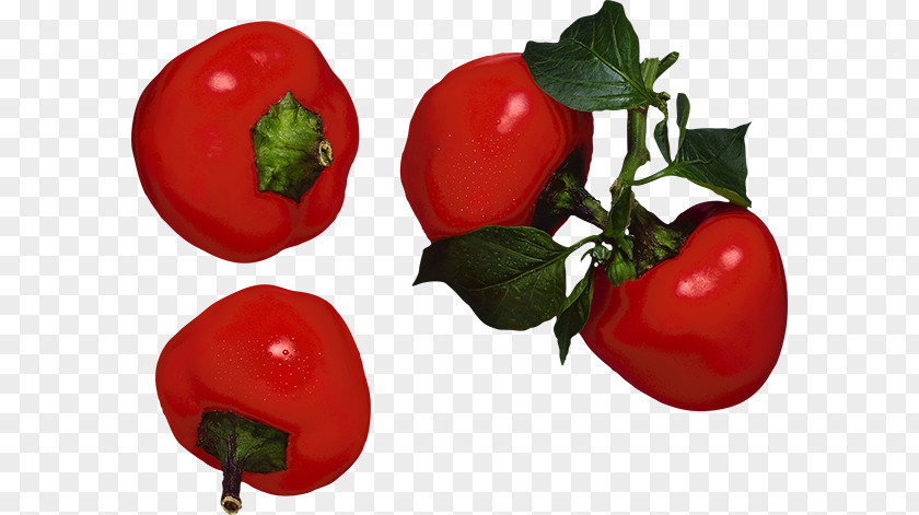 Vegetable Capsicum Annuum Food Fruit Chili Pepper PNG