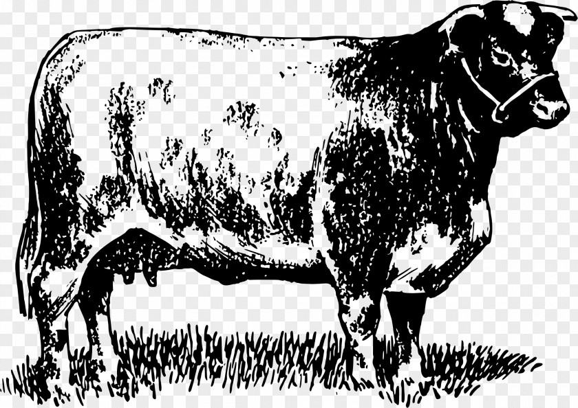 Bull Dairy Cattle Zebu Ox Pen PNG