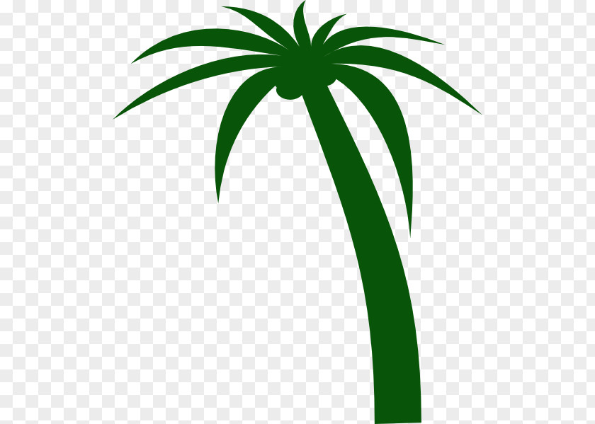 Coconut Tree Animated Clip Art PNG