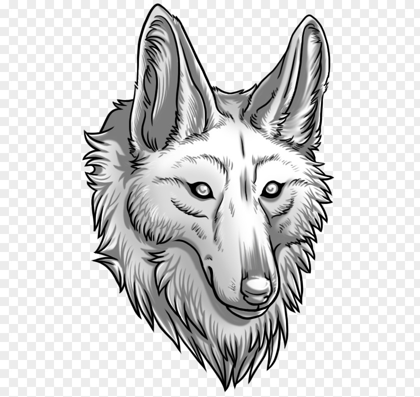 Dog Coyote Puppy Fox Snout PNG