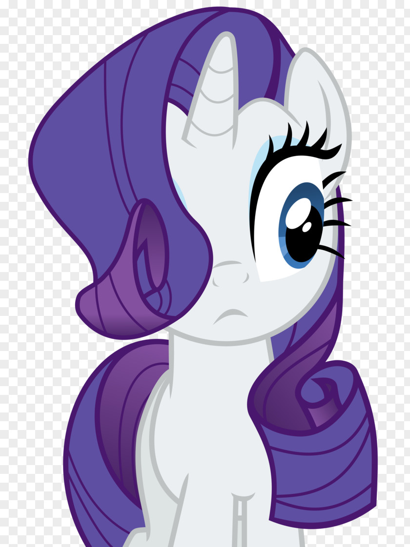 My Little Pony Rarity Rainbow Dash Twilight Sparkle Spike Fluttershy PNG