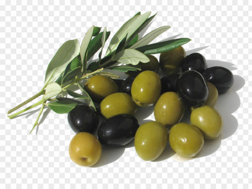 Olive Oil Mediterranean Cuisine Lebanese PNG