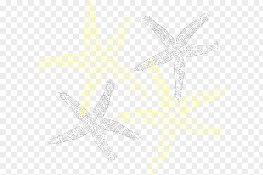 Starfish Clip Art PNG