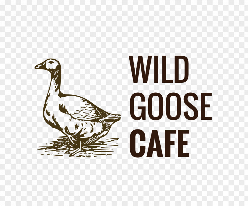 Wild Goose Clip Art PNG
