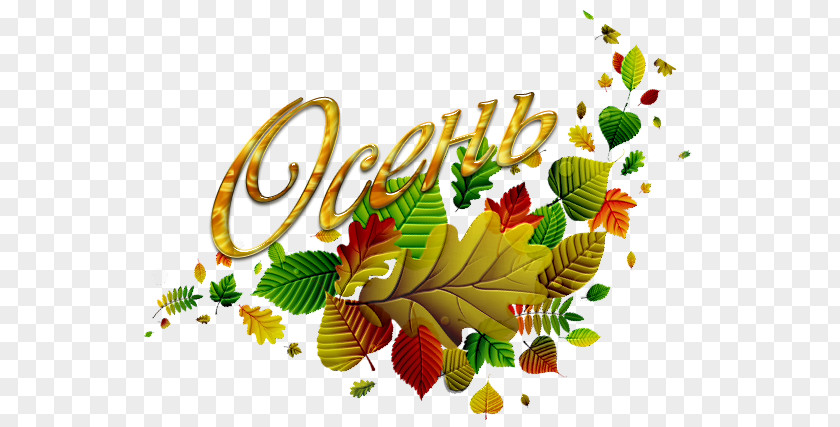 Autumn Text Inscription LiveInternet Child PNG