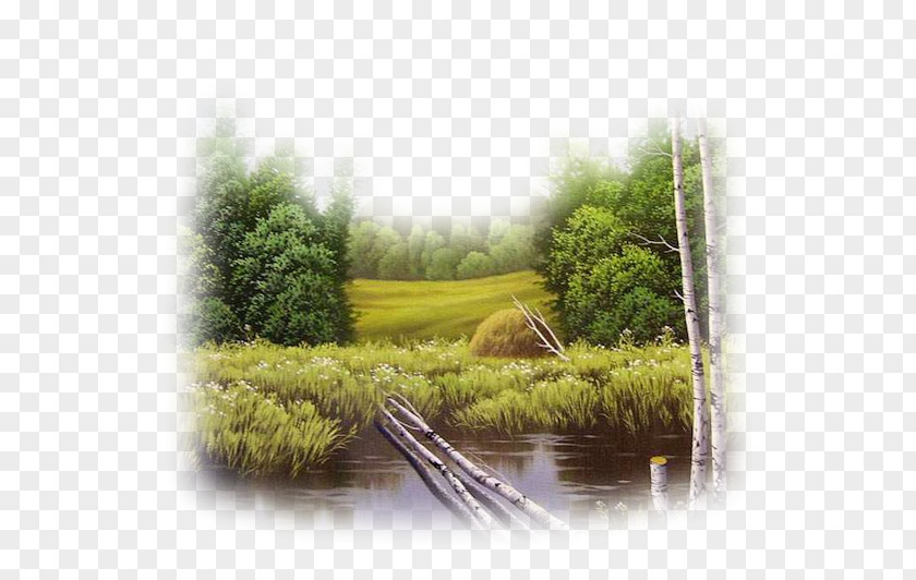 Campagne Landscape Water Resources Ecosystem Painting PNG