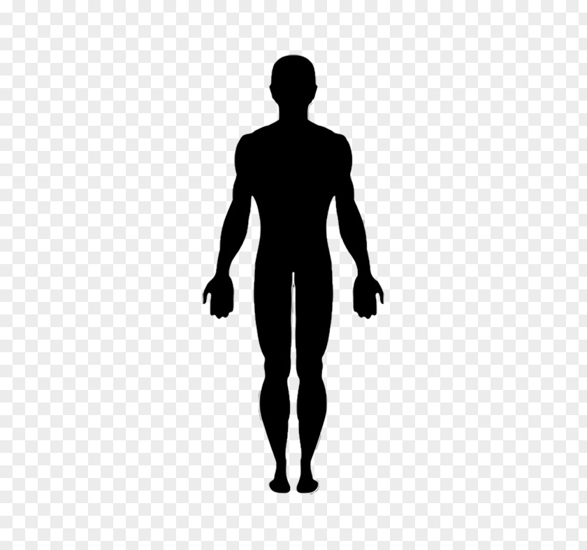 Silhouette Vector Graphics Clip Art Human Body Image PNG