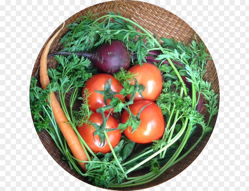 Tomato Bush Vegetarian Cuisine Food Leaf Vegetable PNG