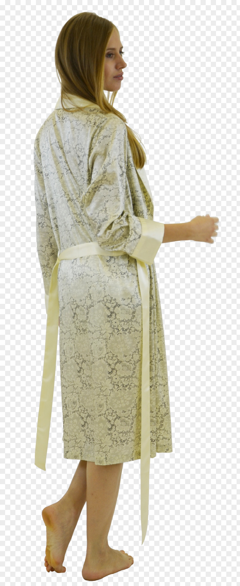 Silk Belt Robe Sleeve Dress Costume PNG