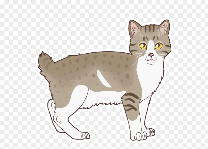 Altair Cartoon American Shorthair Wirehair California Spangled Ocicat Manx Cat PNG