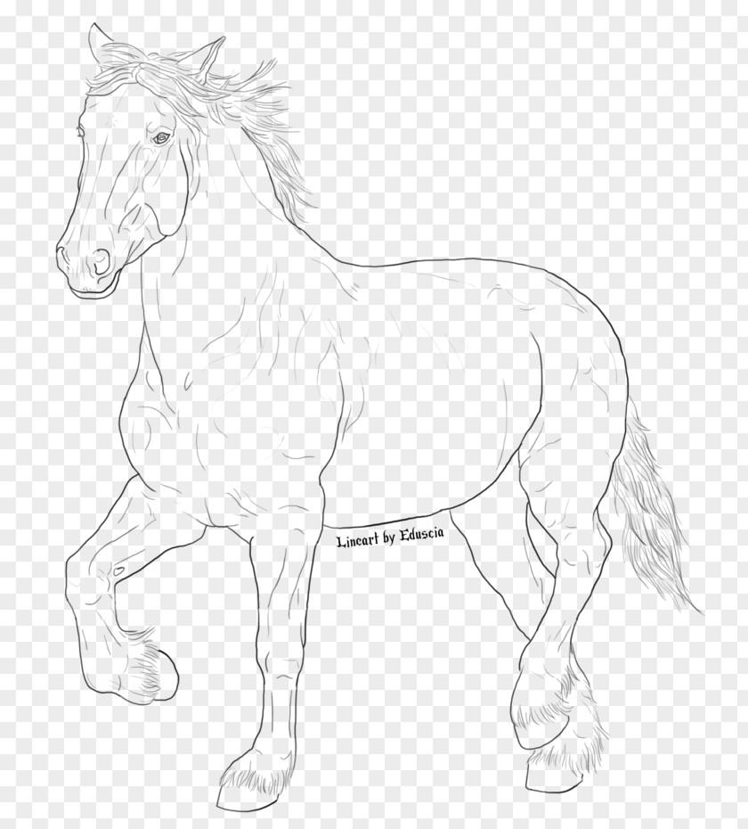 Galloping Horse Mustang Pony Stallion Foal Colt PNG