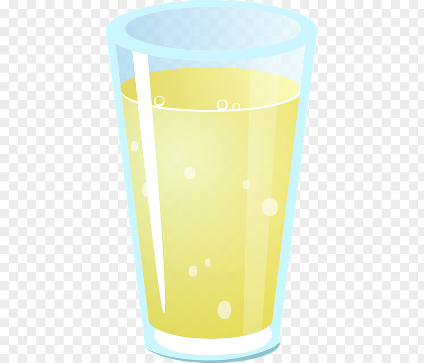 Glass Pint Highball Cup PNG