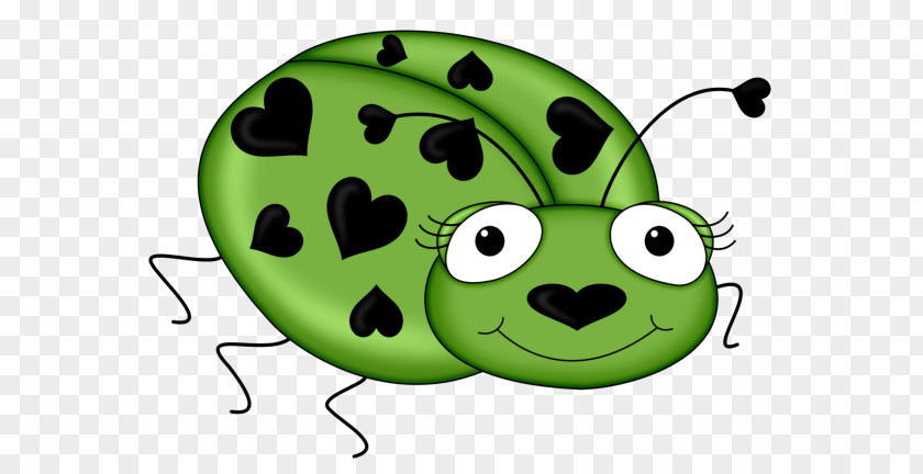 Love Frogs Ladybird Frog Illustration PNG