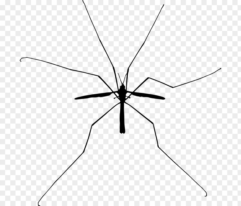 Mosquito Insect Silhouette Clip Art PNG
