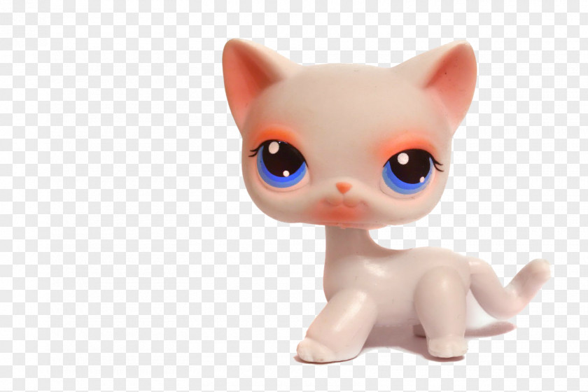 Pets Cat Littlest Pet Shop Toy PNG