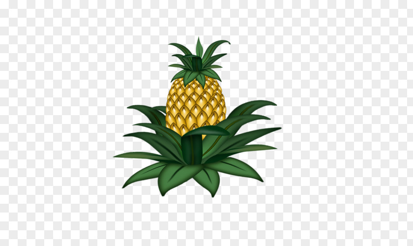 Pineapple Fruit Vegetable Legume Drawing PNG