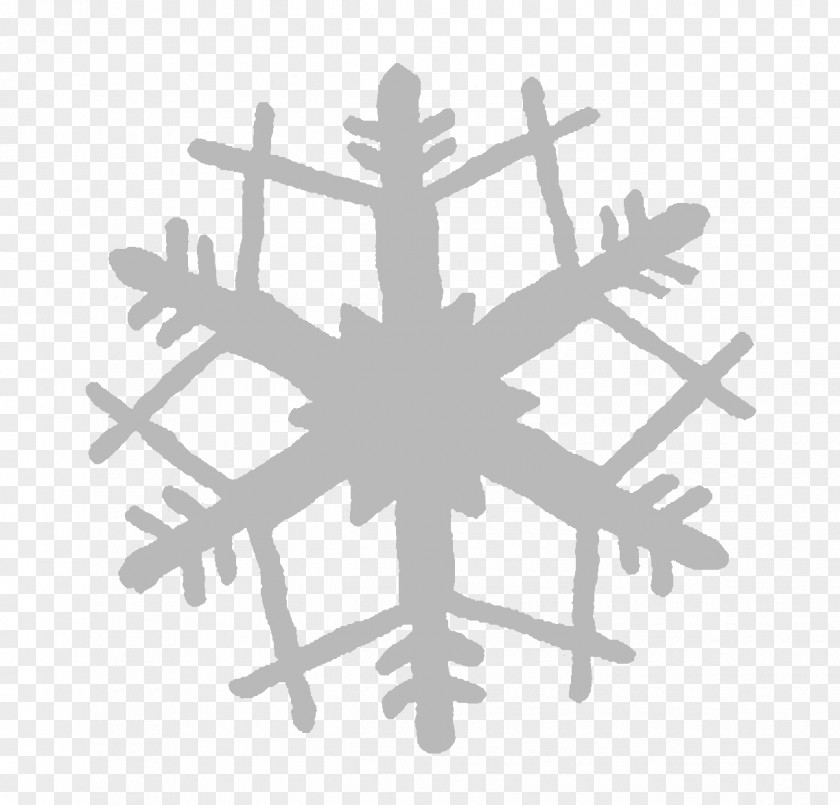 Snowflake Light Silhouette PNG
