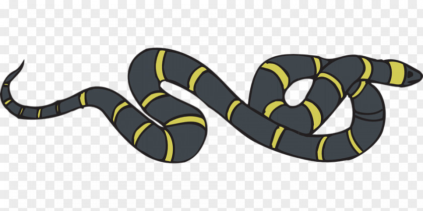 Black Snake Snakes Rat Mouse Rodent Vipers PNG