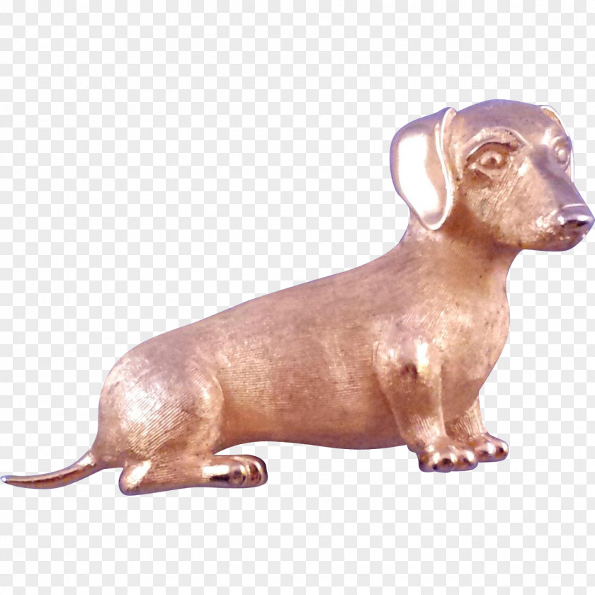 Puppy Dachshund Longdog Dog Breed Snout PNG