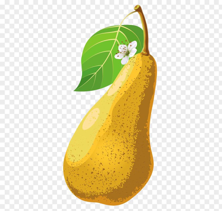 Yellow Pears Pyrus Xd7 Bretschneideri Pear Fruit Food PNG