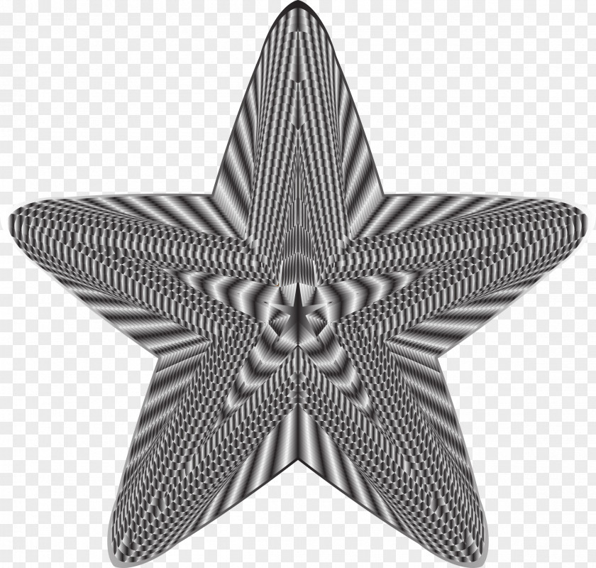 5 Star Starfish Clip Art PNG