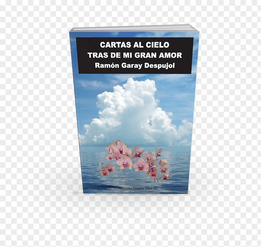 Book Cartas Al Cielo Tras De Mi Gran Amor Letters To A Young Poet Writer Poetry PNG