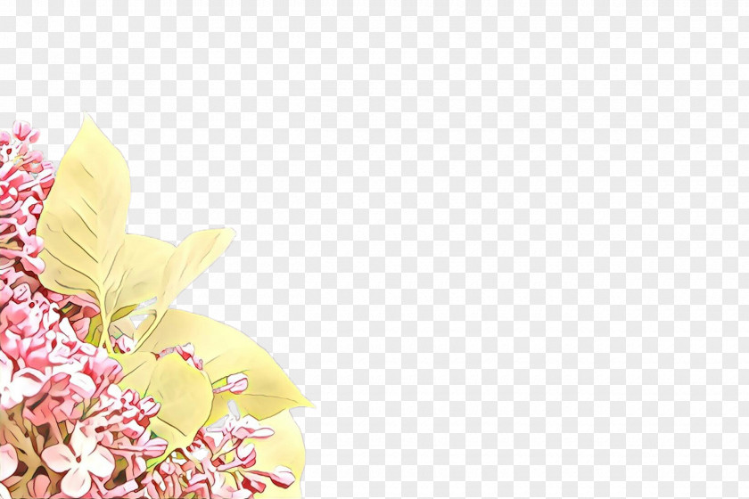 Floral Design PNG