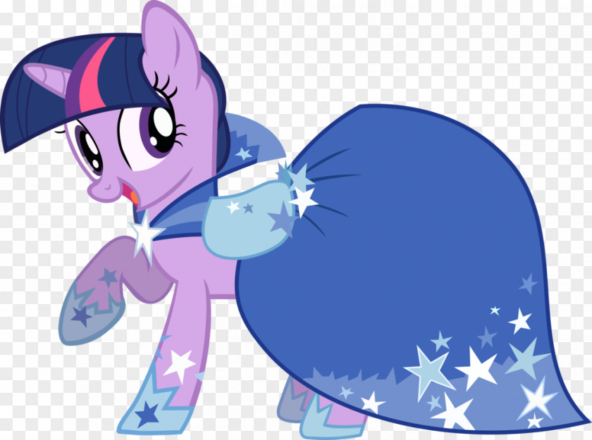 Gala Twilight Sparkle Pinkie Pie Pony Rarity Princess Celestia PNG