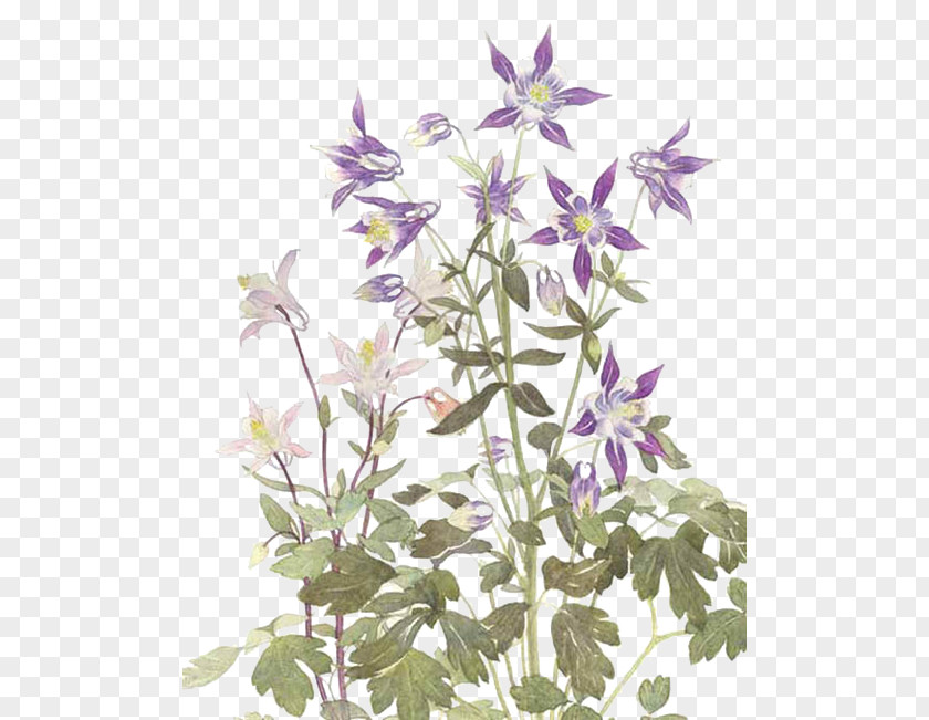 Purple Star Flower PNG