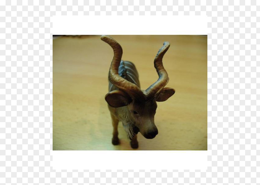 Reindeer Cattle Antelope Wildlife Terrestrial Animal PNG