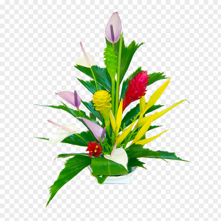 Tropical Flower Kailua Bouquet Teleflora Clip Art PNG