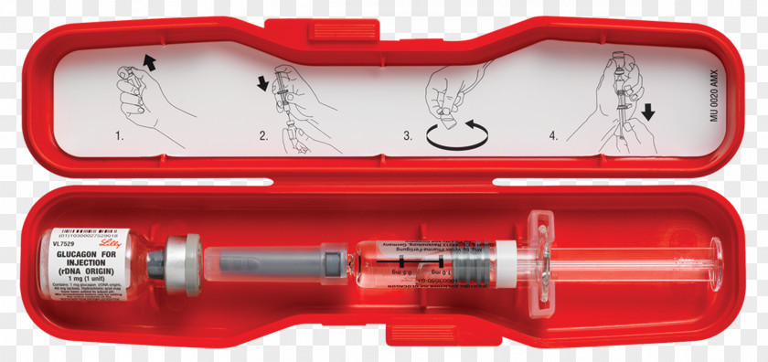 Blood Glucagon Hormone Diabetes Mellitus Type 1 Glucose PNG