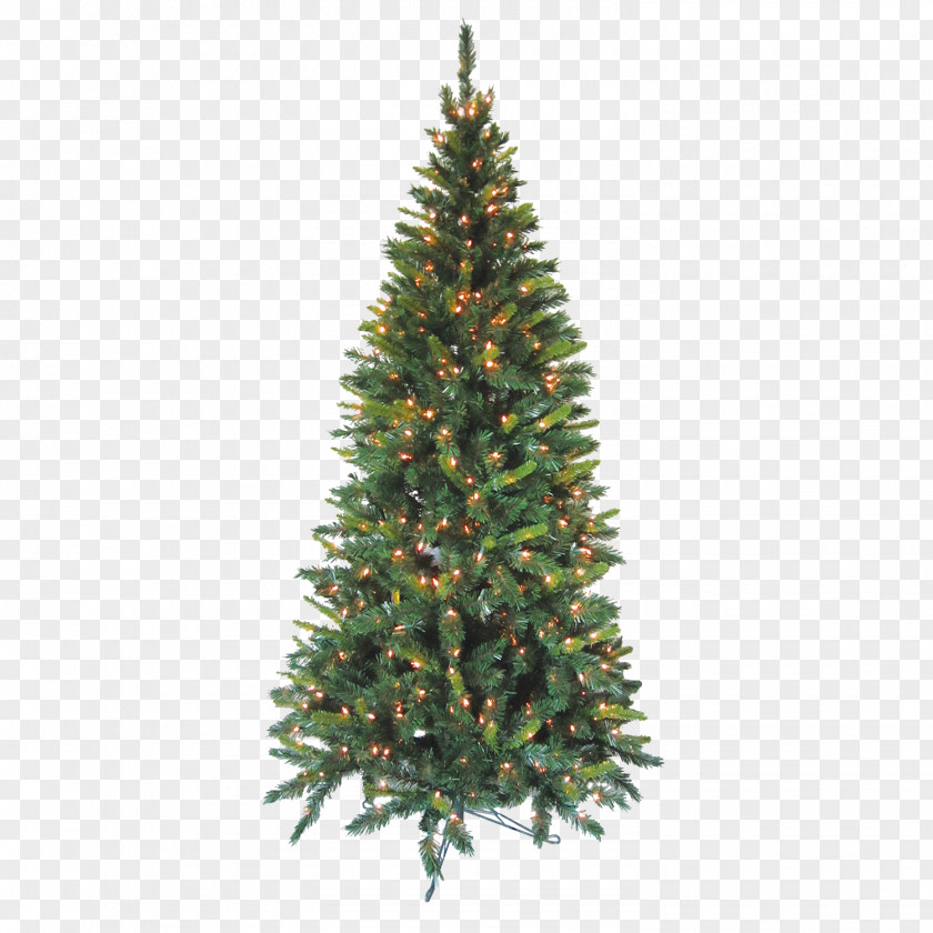 Caillou Transparent Background Ready National Tree Company Artificial Christmas 7.5 Foot Kingswood Fir Pencil PNG