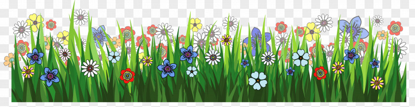 Grass Ground With Flowers Picture Flower Clip Art PNG