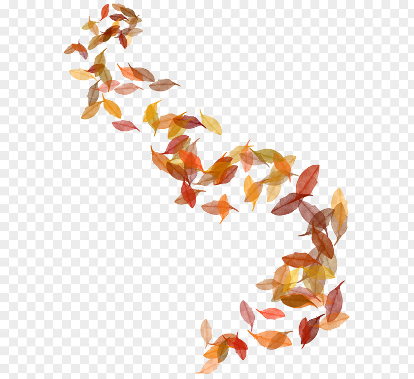 Leaf Autumn Clip Art PNG