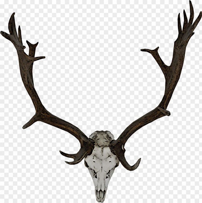Moose Trophy Hunting Reindeer PNG