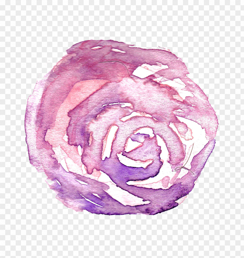 Painting Drawing Image Rose Photograph PNG