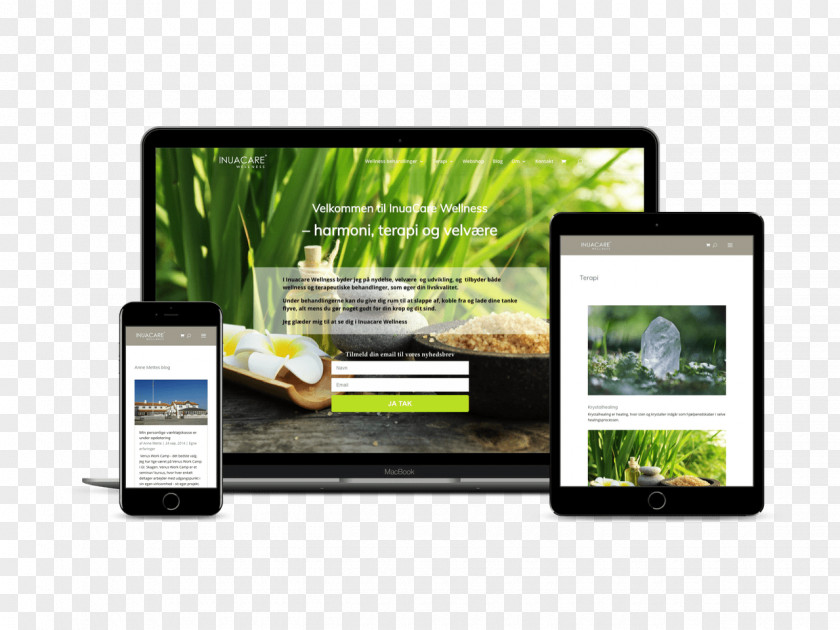 Website Ui Design Web WordPress Multimedia PNG