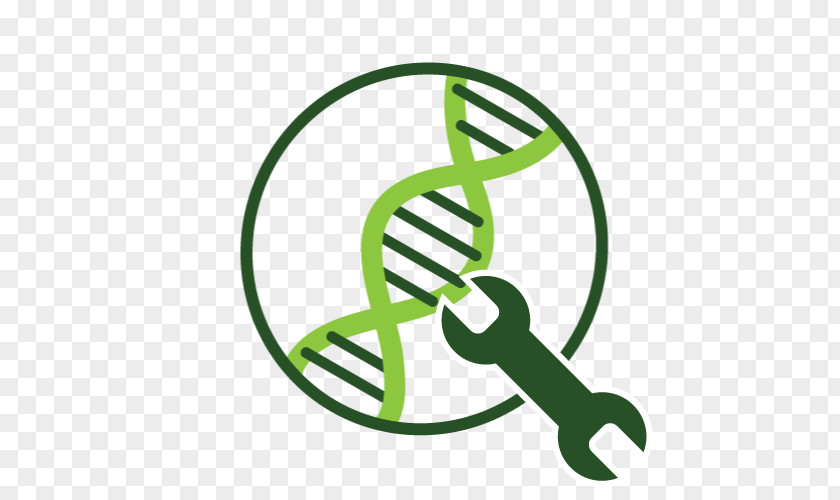 Algae Fuel Genetic Engineering Information PNG