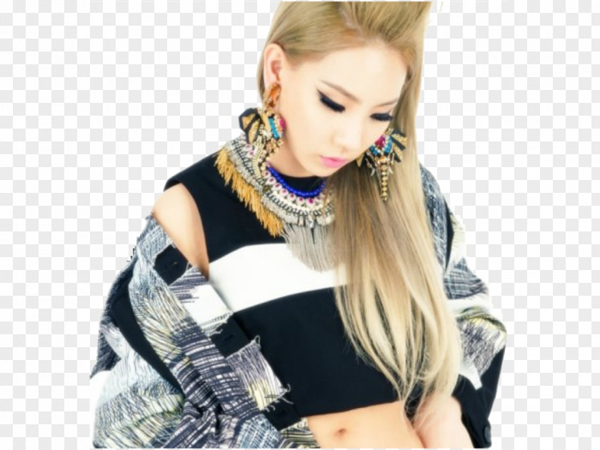 Cl 2ne1 CL 2NE1 All Or Nothing World Tour K-pop Collection PNG