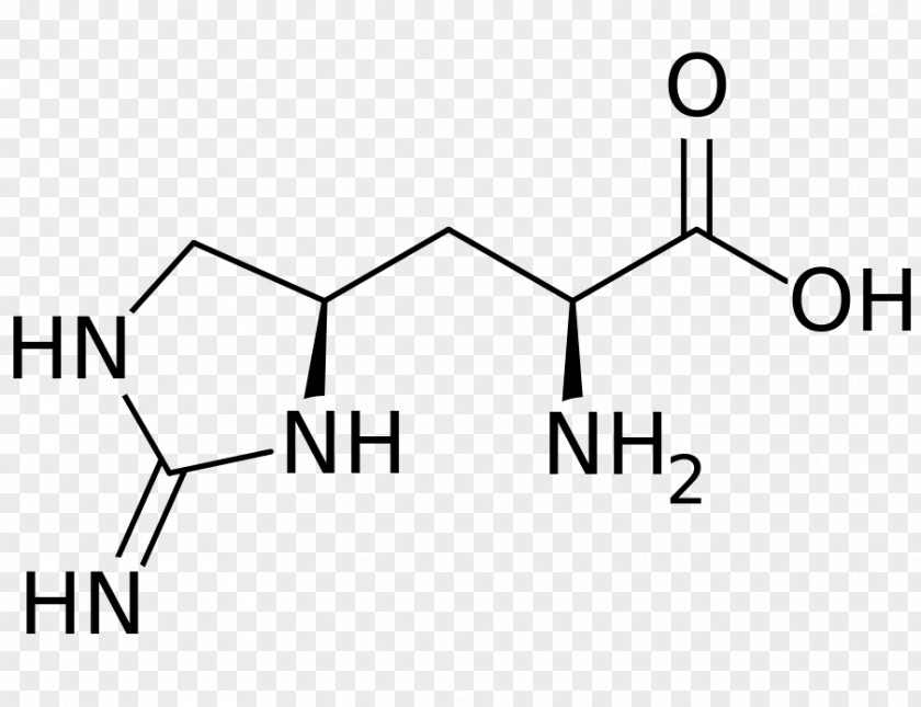 Dietary Supplement Leucine Cysteine Amino Acid Alanine PNG