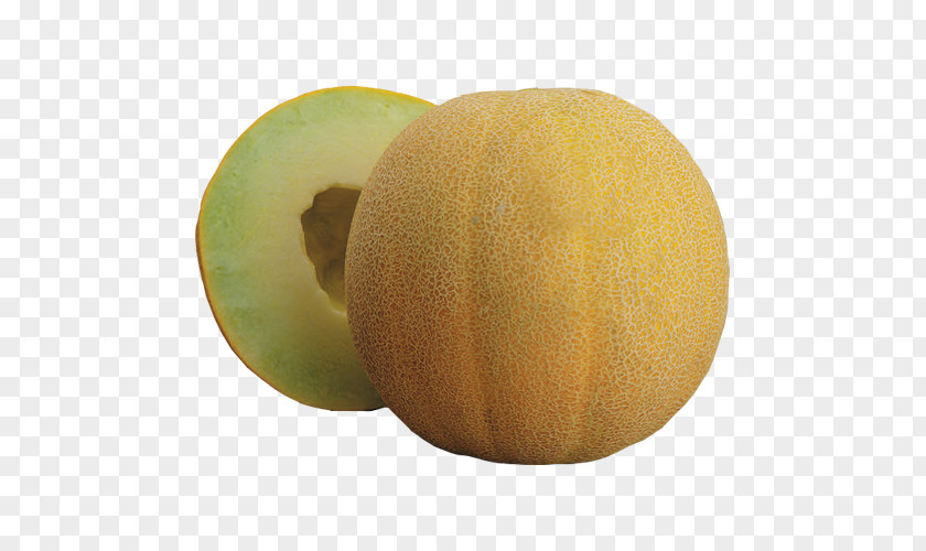 Hami Melon Honeydew Galia Cantaloupe Food PNG